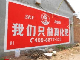 舒城刷墙广告”蕴含了时代命题