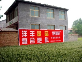 舒城如何让墙体广告展现最大化效果