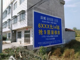 舒城墙体广告质量分析