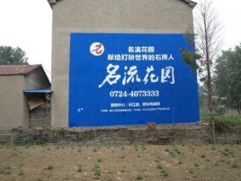 舒城农村墙体广告的长尾效应