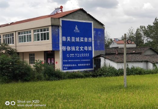 舒城决定墙体广告价格的因素有哪些?