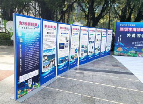 舒城KT板的种类和知识。